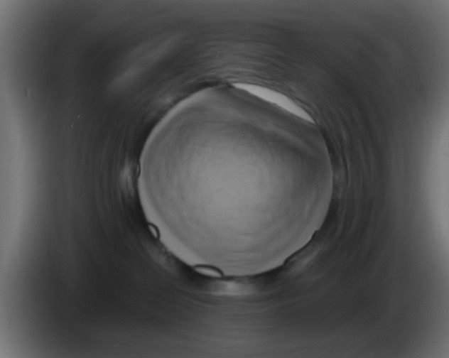 X0000083040286200703022055