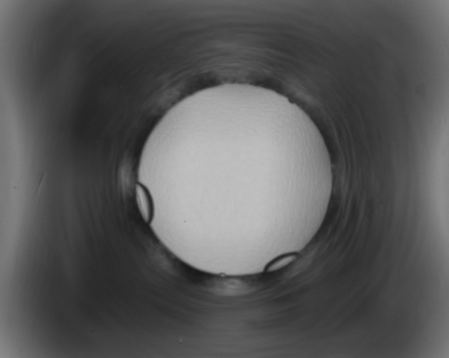 X0000083040287200703022055