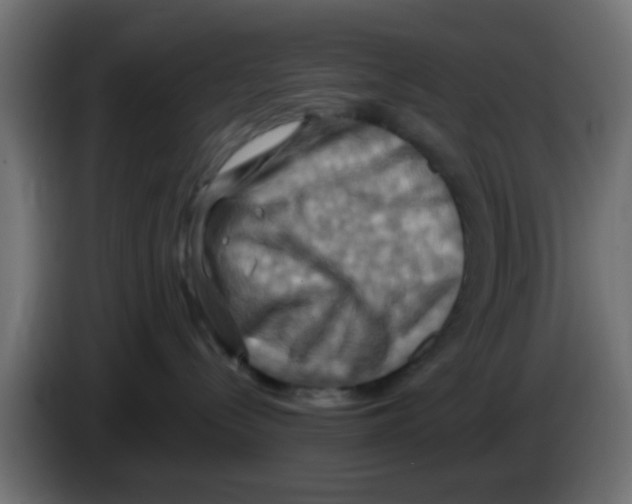 X0000083040288200703022055