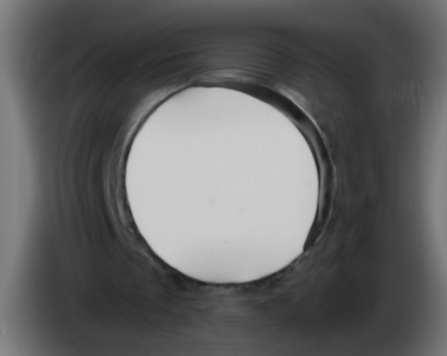 X0000083040289200703022055