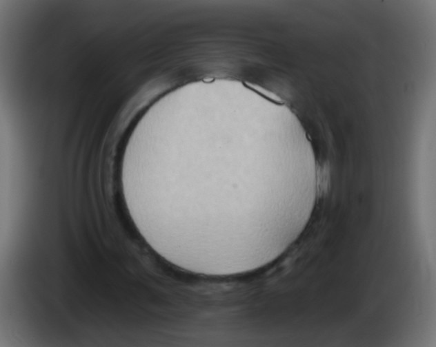 X0000083040291200703022055