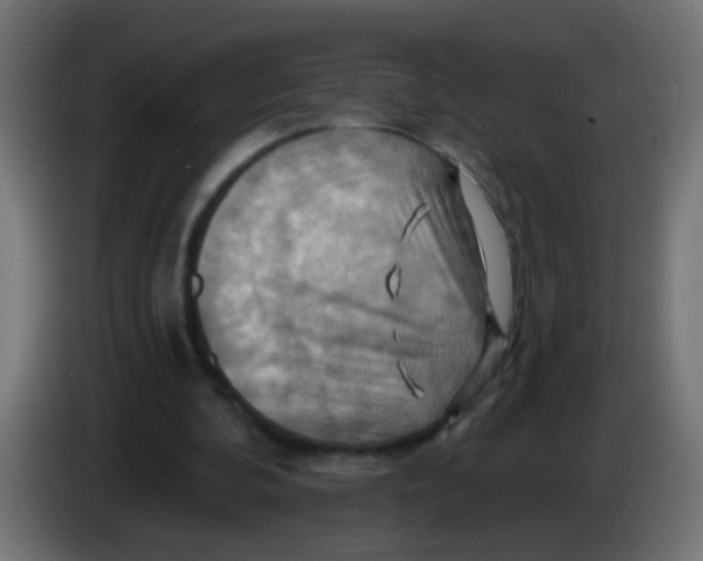 X0000083040292200703022055