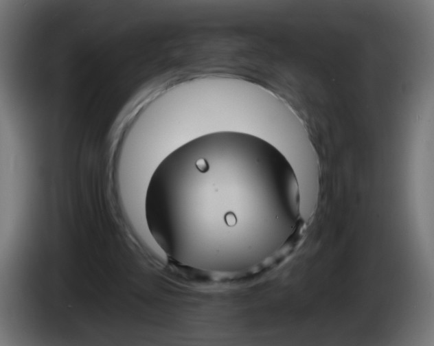 X0000083040293200703022055