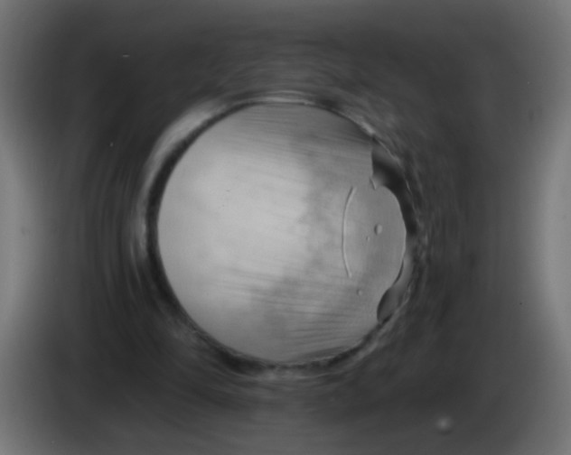 X0000083040294200703022055