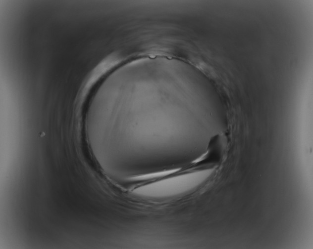 X0000083040295200703022055