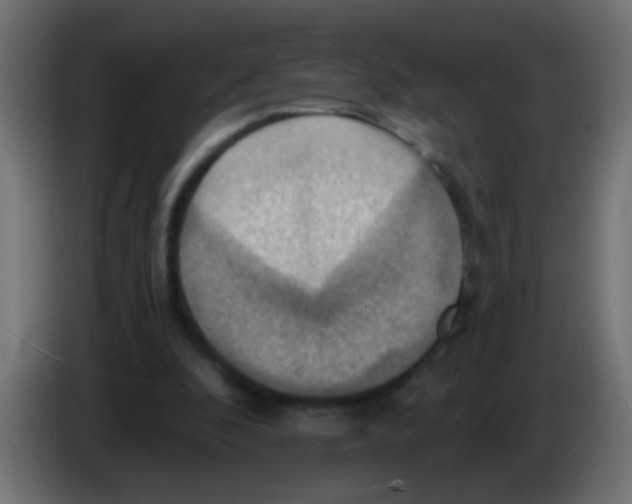 X0000083040296200703022054