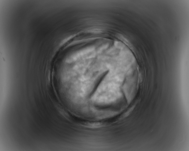 X0000083040301200703022054