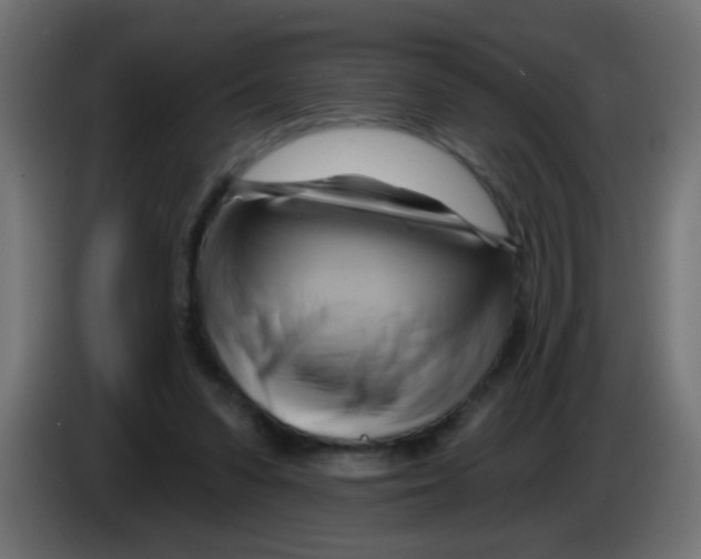 X0000083040303200703022054