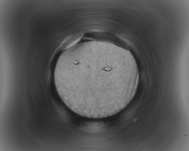 X0000083040304200703022054
