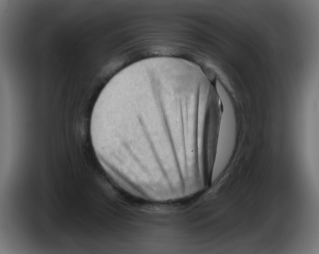 X0000083040305200703022054