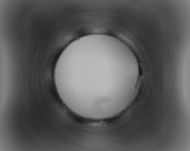 X0000083040306200703022054