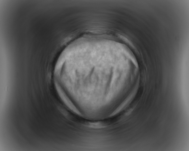 X0000083040309200703022054