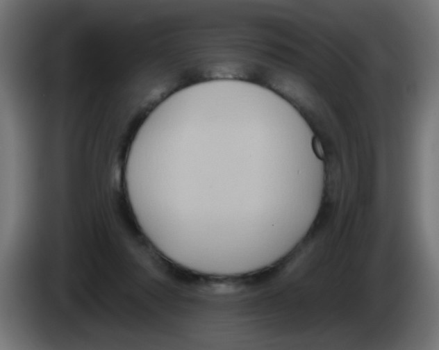 X0000083040310200703022054