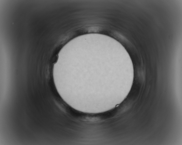 X0000083040311200703022054