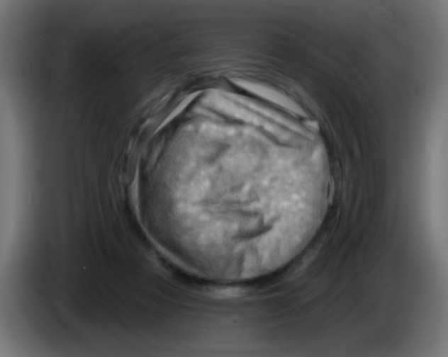 X0000083040313200703022054