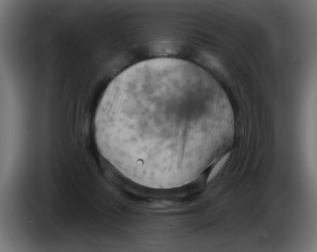 X0000083040315200703022054