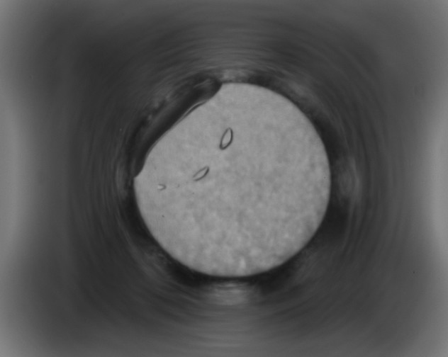 X0000083040316200703022054