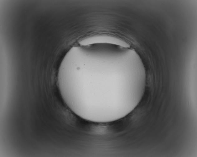 X0000083040318200703022054