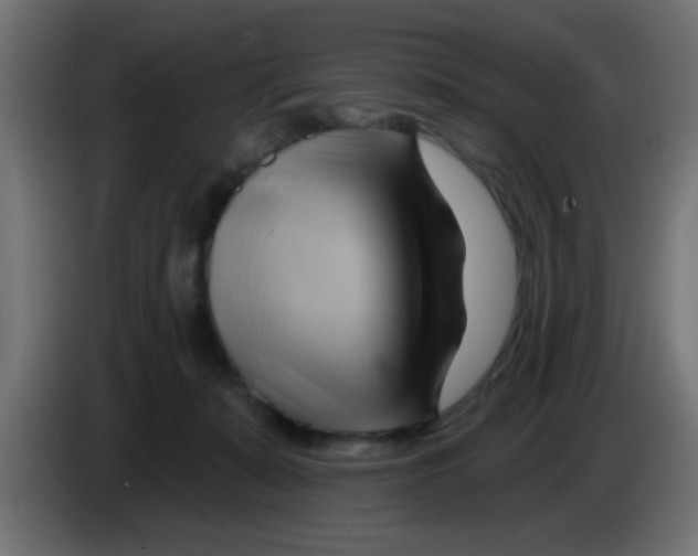 X0000083040319200703022054