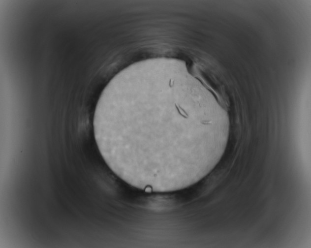 X0000083040320200703022054