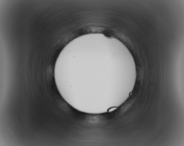 X0000083040321200703022054