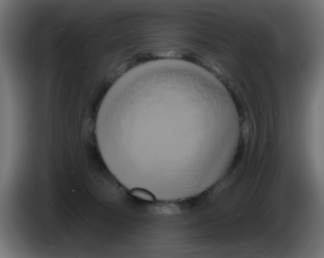 X0000083040322200703022054