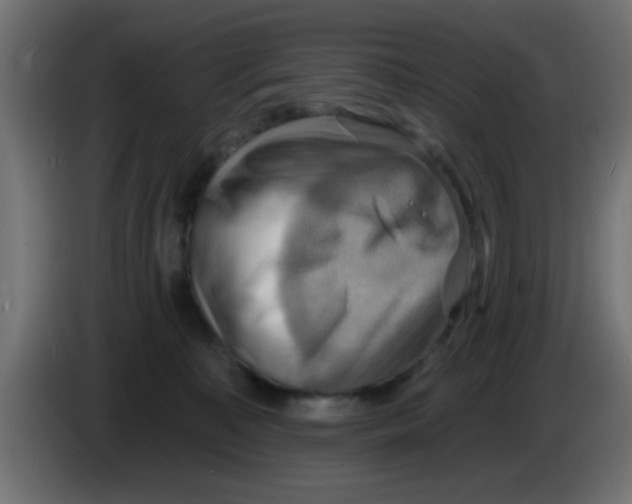X0000083040323200703022054