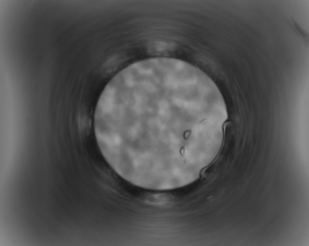 X0000083040324200703022054