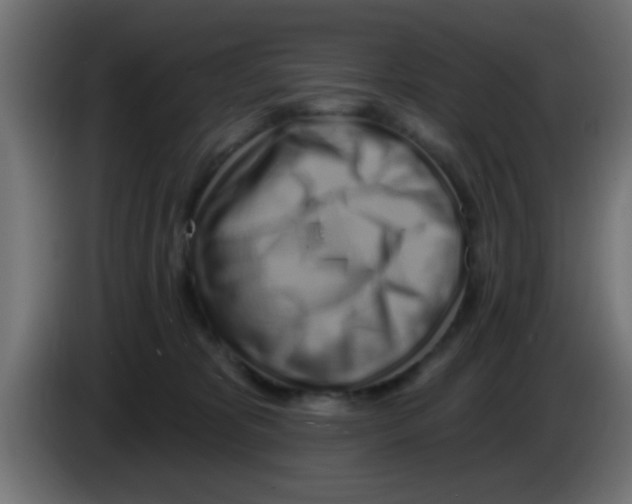 X0000083040325200703022054