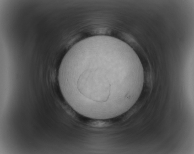 X0000083040326200703022054