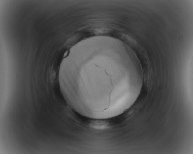 X0000083040327200703022054