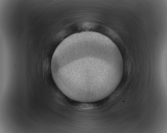 X0000083040328200703022054