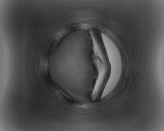 X0000083040329200703022054