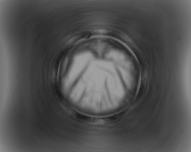 X0000083040330200703022054