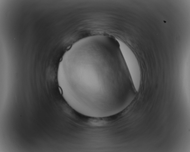 X0000083040331200703022054