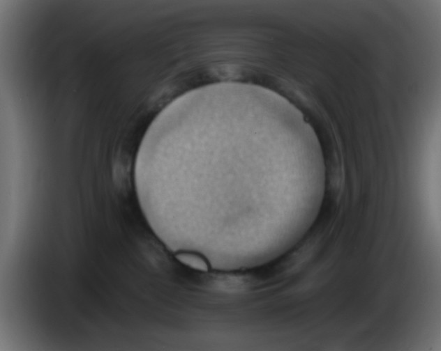 X0000083040332200703022054