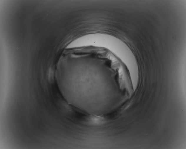 X0000083040333200703022054