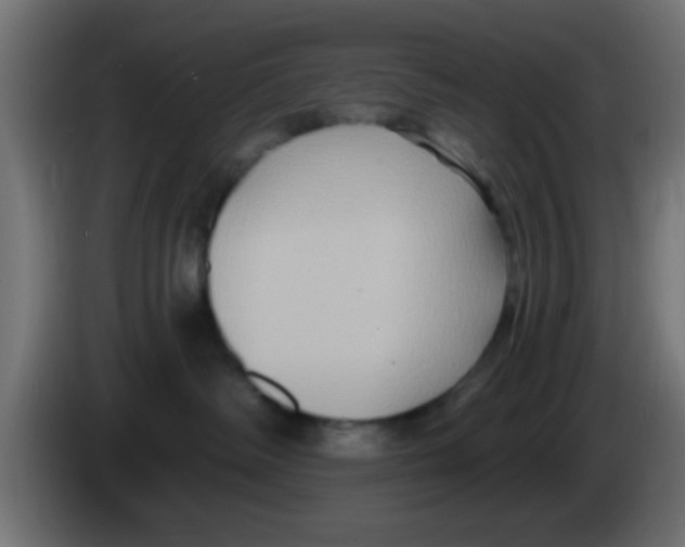 X0000083040334200703022054