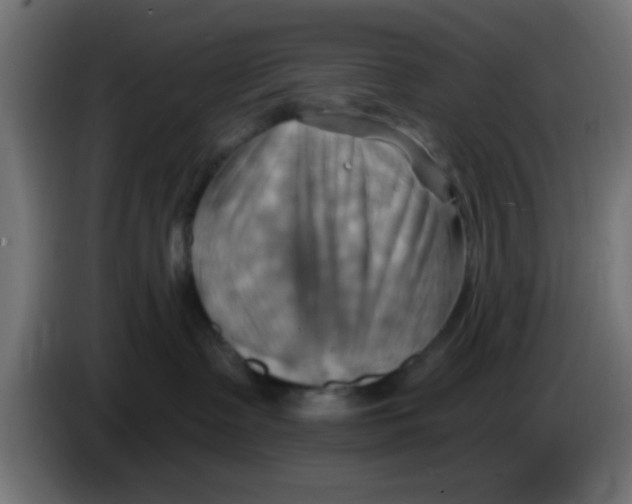 X0000083040335200703022054