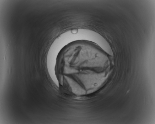 X0000083040336200703022054