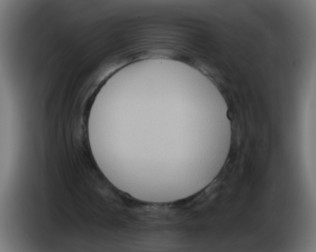 X0000083040338200703022053