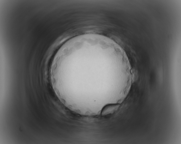 X0000083040339200703022053