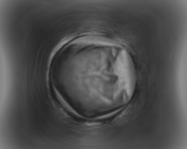 X0000083040340200703022053