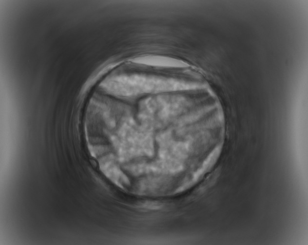 X0000083040341200703022053