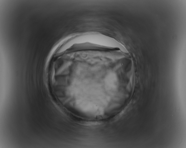 X0000083040342200703022053