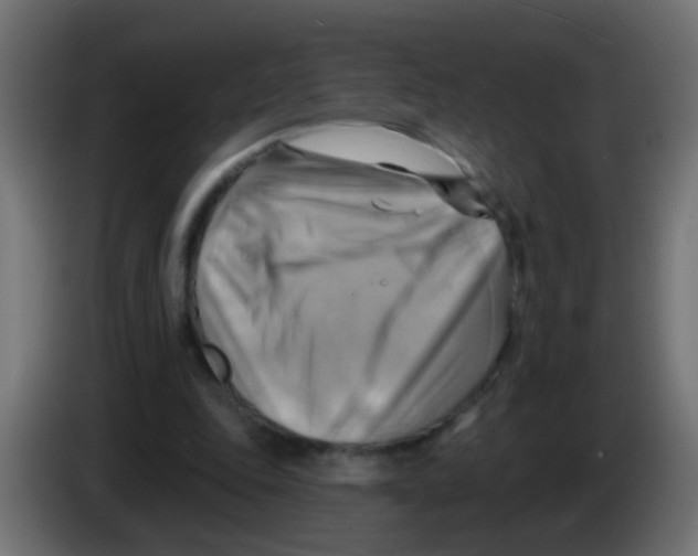 X0000083040343200703022053