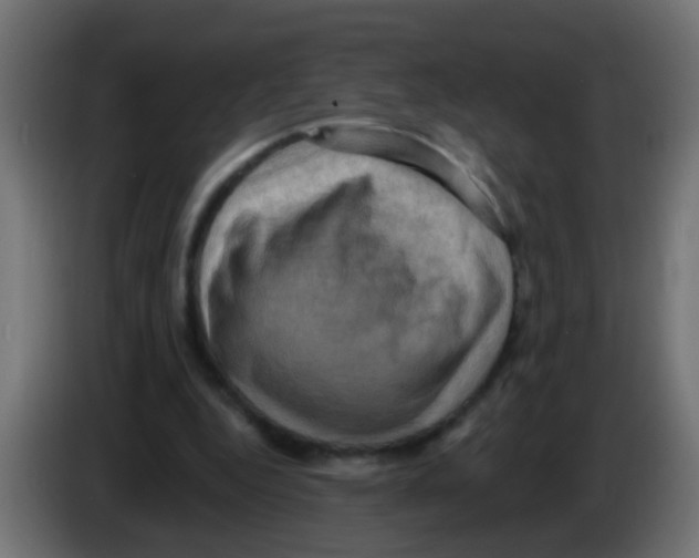 X0000083040344200703022053