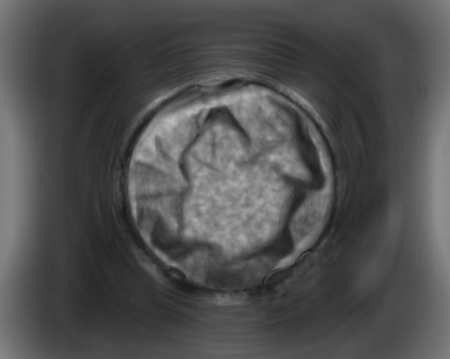 X0000083040345200703022053