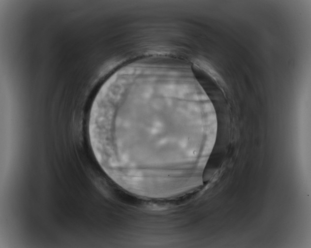 X0000083040346200703022053