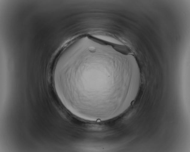 X0000083040347200703022053